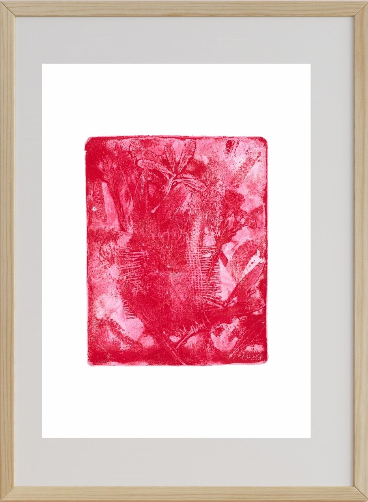 A framed artwork featuring a red and pink gel monoprint of Australian botanical elements, set against a white background.