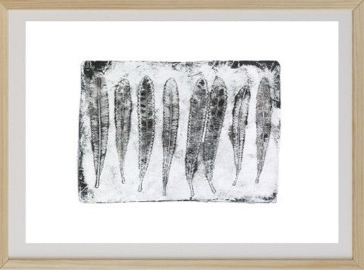 A framed monoprint artwork featuring blackened, ashened plant remains on a white background, with a black border.