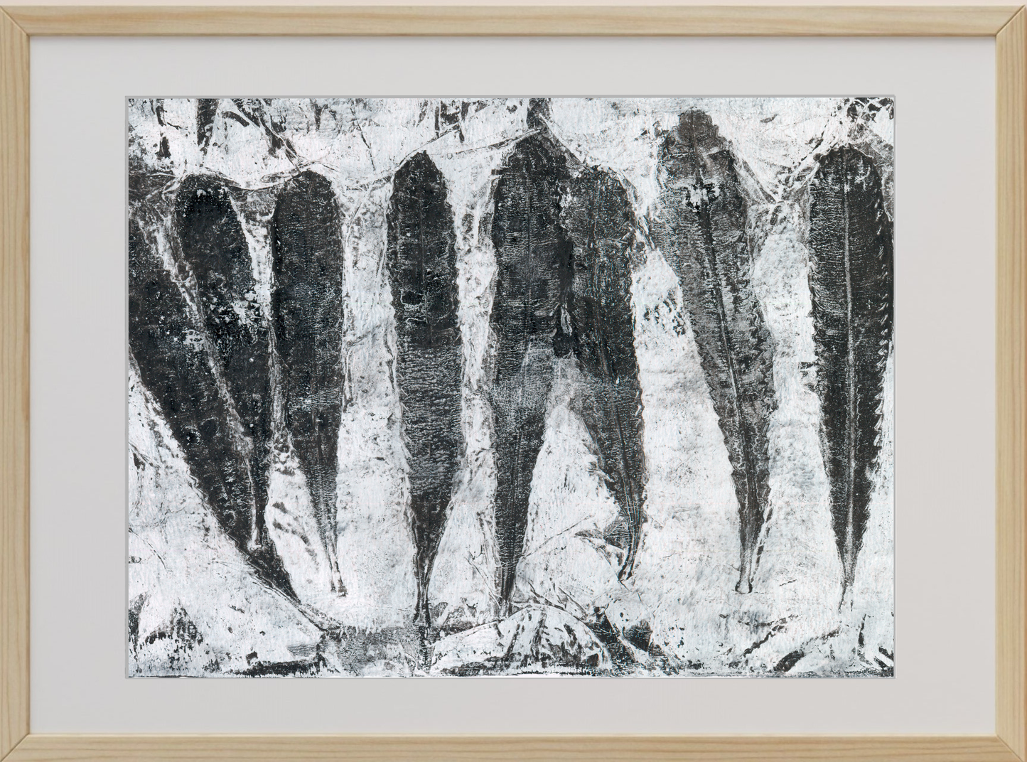 Framed black and white monoprints using Banksia leaves and other native Australian flora respectfully gathered from the land after fire.