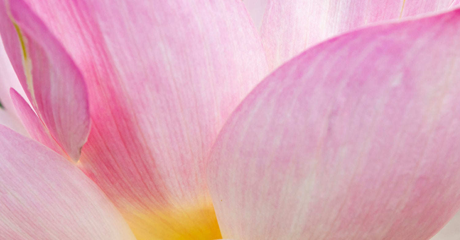 Spiritual Growth