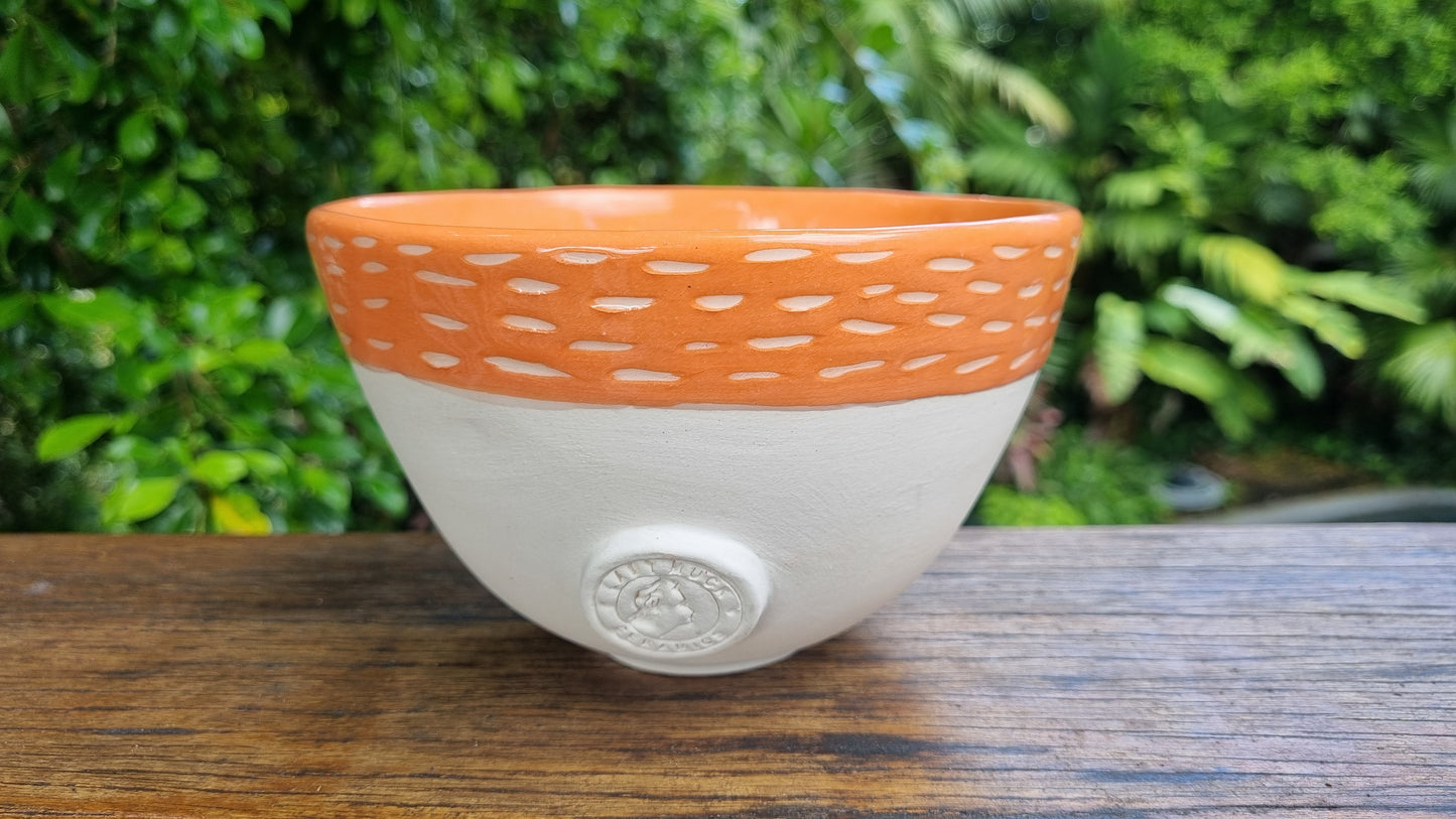 Noodle Bowls