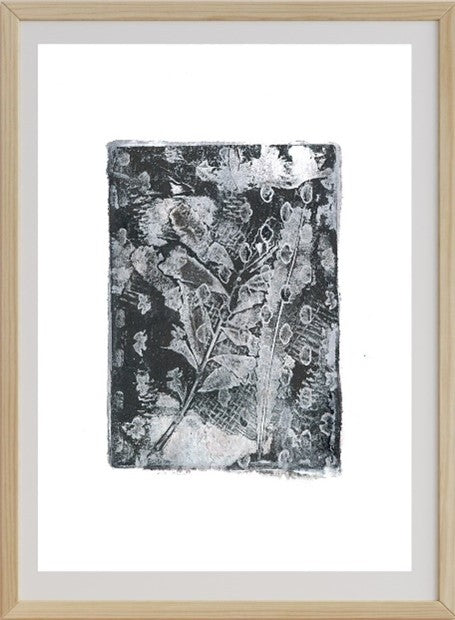 Banksia Song