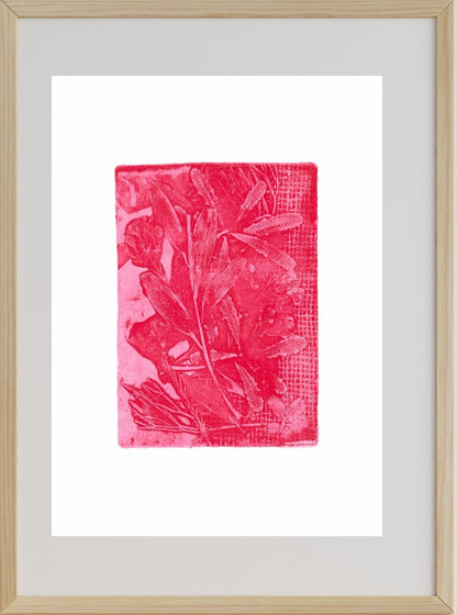 Botanicals in Pink