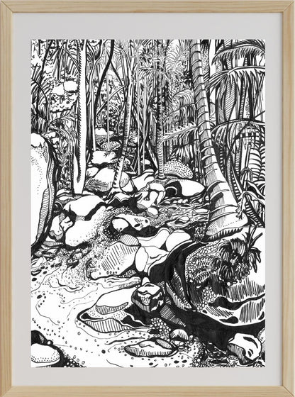 Forest Bathing Wollumbin Mount Warning