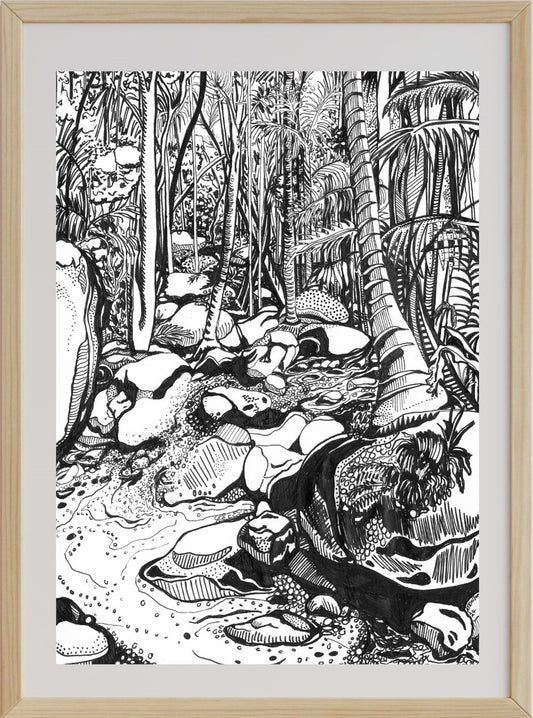 Forest Bathing Wollumbin Mount Warning
