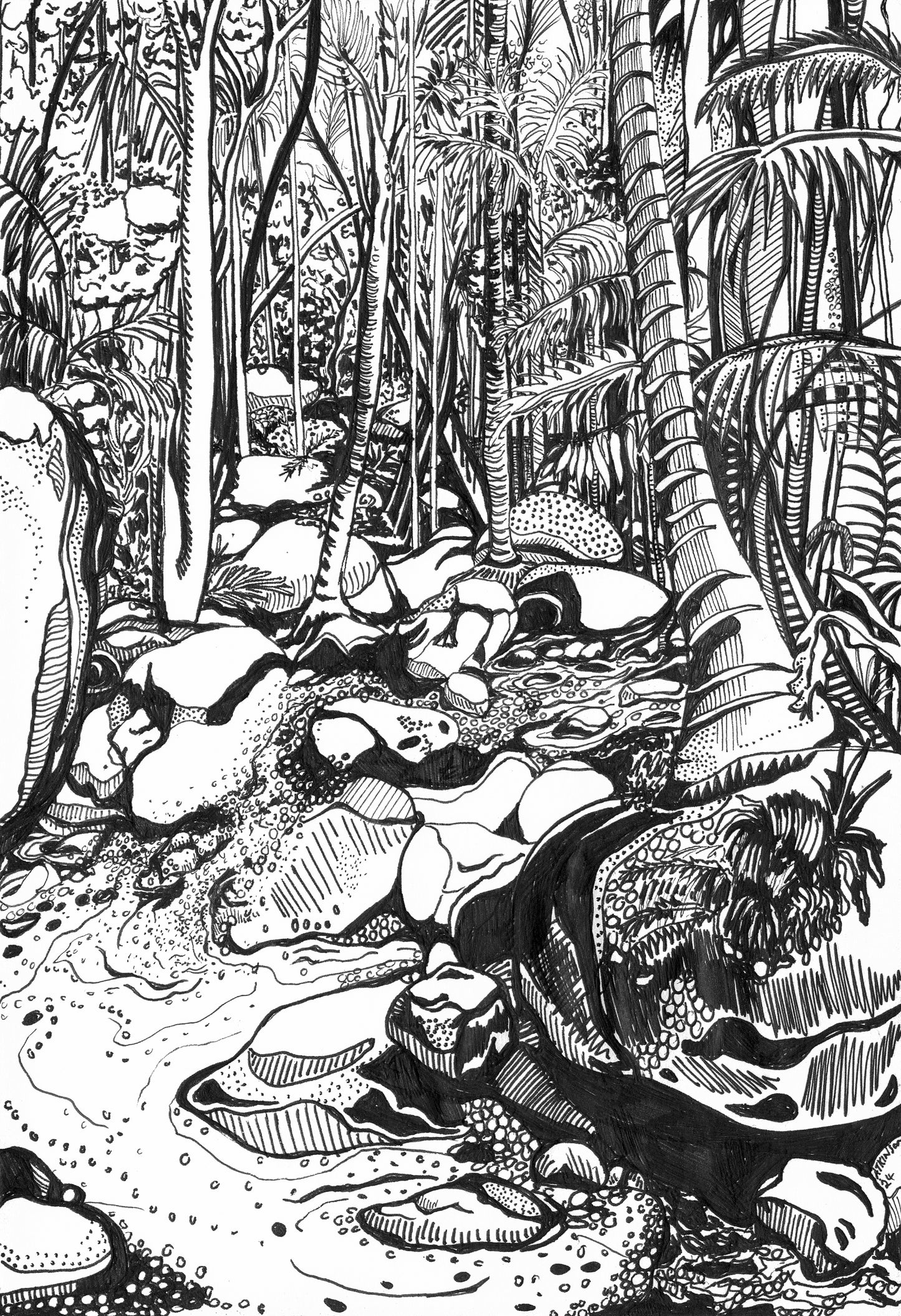 Forest Bathing Wollumbin Mount Warning