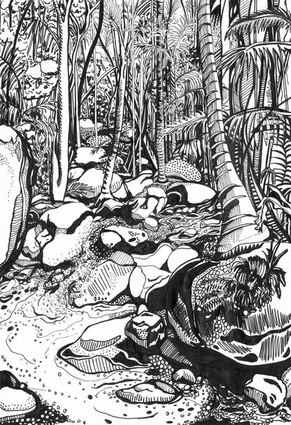 Forest Bathing Wollumbin Mount Warning