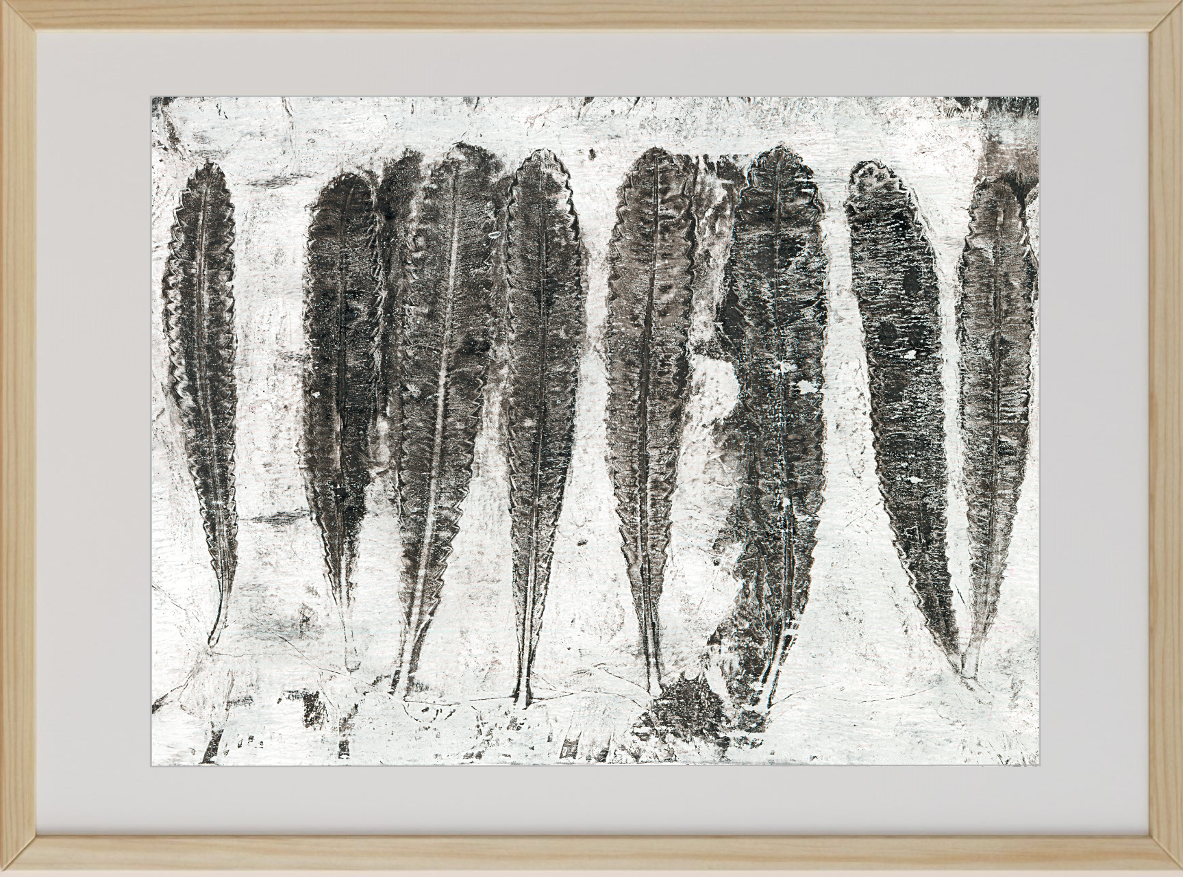 Framed black and white monoprints using Banksia leaves and other native Australian flora respectfully gathered from the land after fire