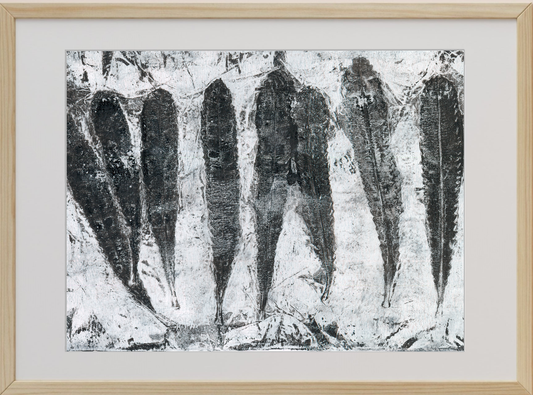 Framed black and white monoprints using Banksia leaves and other native Australian flora respectfully gathered from the land after fire.