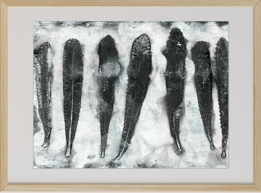 Framed monoprints using Banksia leaves and other native Australian flora respectfully gathered from the land after fire.